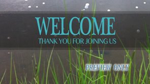 Read more about the article Welcome To Worship: Rain In The Pond