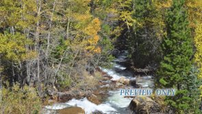 Read more about the article Fall Slideshow: Beautiful Worship Background