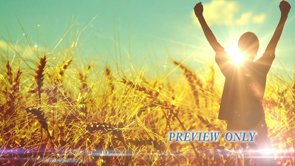 Read more about the article FREE Worshiping God In Wheat Field
