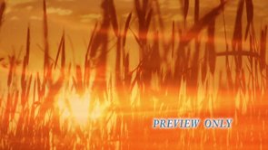 Read more about the article Beautiful Autumn Sunset Worship Motion