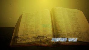 Read more about the article Living Word: Bible And Water Drops