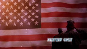 Read more about the article Patriotic Motion Soldiers Saluting The Flag