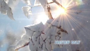 Read more about the article Snow And Sun Flare Winter Background