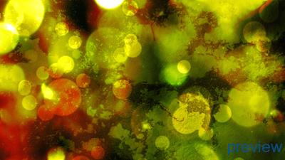 Read more about the article Colorful Grunge Bokeh Still Background