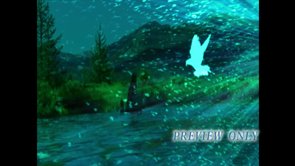 Read more about the article Free Baptism Motion Background Loop