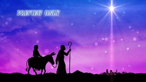 Read more about the article Mary And Joseph Near Bethlehem