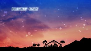 Read more about the article Holy Night: Christmas Nativity Motion