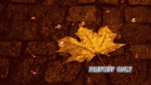 Read more about the article Falling Leaves Worship Video Motion