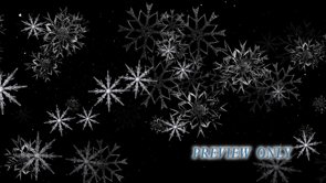 Read more about the article Snow Flakes On Black Background