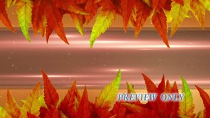 Read more about the article Thanksgiving Motion Autumn Colorful Leaves
