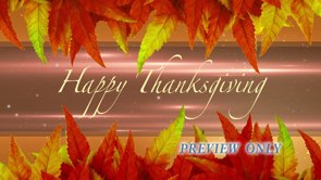 Read more about the article Happy Thanksgiving Looping Motion