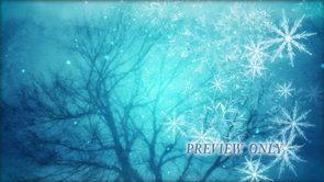 Read more about the article Tree And Big Snow Flakes