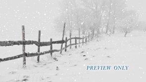 Read more about the article Winter Snow Worship Background