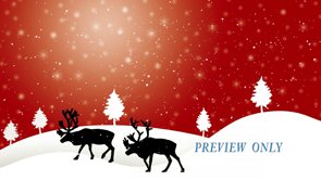 Read more about the article FREE Reindeer Winter Holidays Motion Loop