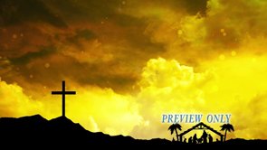 Read more about the article Cross And Manger: Christmas Motion