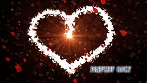 Read more about the article Rose Petals And White Heart Motion