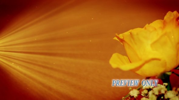 Read more about the article Yellow Rose And Light Rays Motion Background