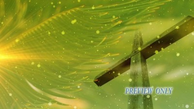 Read more about the article Palm Sunday Cross And Palm Branches