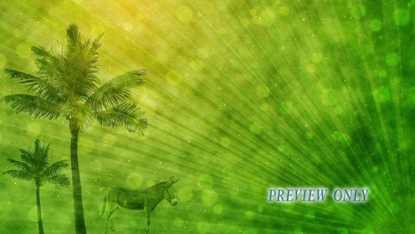 Palm Sunday Motion Background Loop
