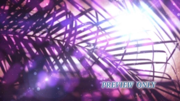 Palm Sunday Motion Background