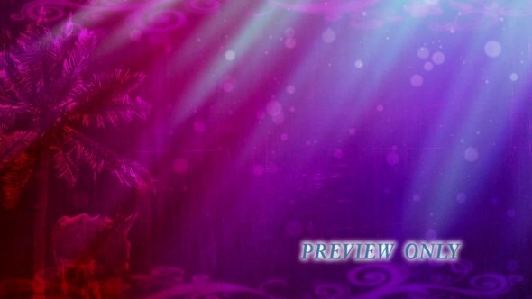 Palm Sunday: Donkey And Palm Tree