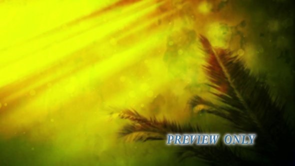 Palm Sunday Branch Motion Background 