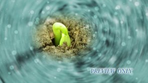 Read more about the article Free Spring Background: The Power Of New Life