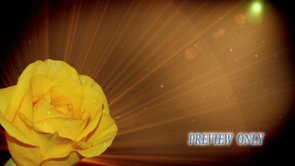 Read more about the article Free Mother’s Day Motion: Yellow Rose