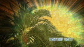 Palm Sunday Tree Motion Background