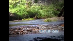 Read more about the article Mountain River Video Background Loop