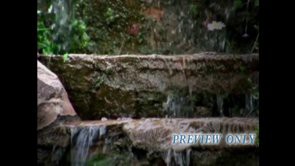 Read more about the article Water On Steps: Summer Motion Loop