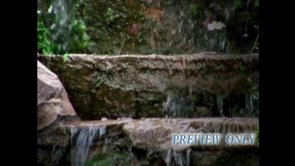 Read more about the article Water On Steps: Summer Motion Loop