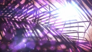 Read more about the article Palm Sunday Branch: Still Background Slide