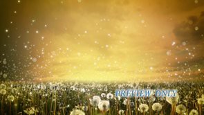 Read more about the article Dandelions: Summer Worship Motion
