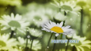 Read more about the article Mother’s Day Worship Background Video Loop