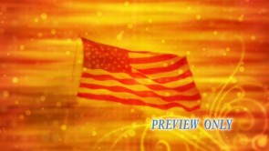 Read more about the article American Independence Day Slide