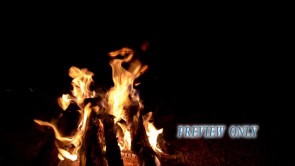 Read more about the article Camp Fire Motion Background