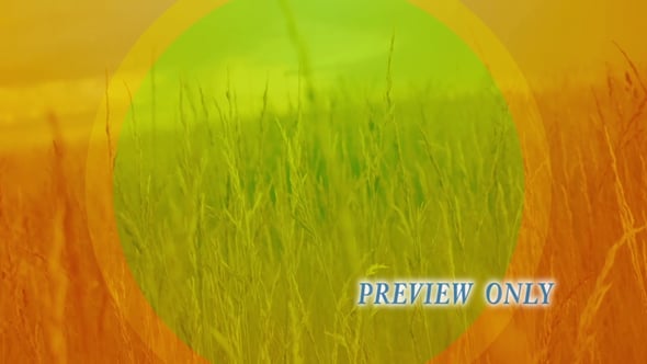 Summer Grass Worship Motion Loop