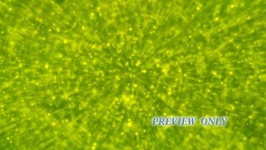 Read more about the article Free Green Worship Motion Video