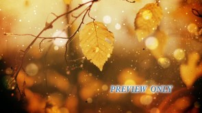 Read more about the article Rugged Autumn Worship Motion Background