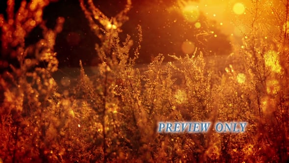 Read more about the article Autumn Weeds Worship Motion Loop