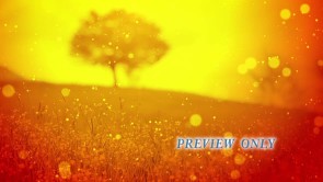 Read more about the article The Tree Of Life Motion Video