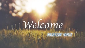 Read more about the article Blades Of Grass: Autumn Welcome