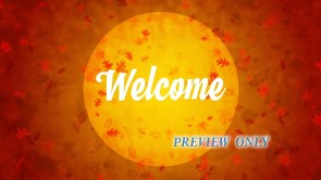 Read more about the article Falling Leaves Autumn Welcome Motion