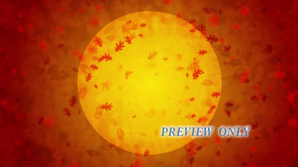 Read more about the article Autumn Full Moon And Falling Leaves