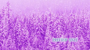 Read more about the article The Wonder Of Christmas: Free Motion