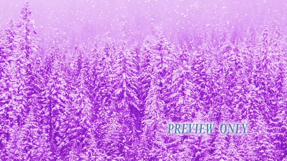 Read more about the article The Wonder Of Christmas: Free Motion