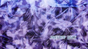 Read more about the article Frosty: Winter Worship Background