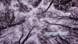 Read more about the article Tall Trees And Snow Still Winter Background