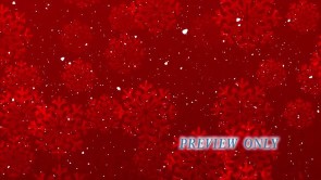 Read more about the article The Most Beautiful Time Of The Year